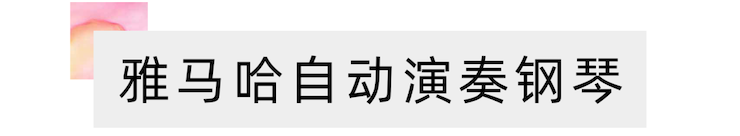 活动报道 | 远程艺术教育大师课活动——BG大游特邀艺术家张奕明大师课